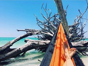 Image post by @visitsarasotacounty on Instagram