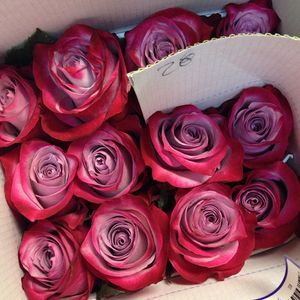 Image post by @bonita_flowers on Instagram
