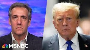 Video post by @msnbc on YouTube