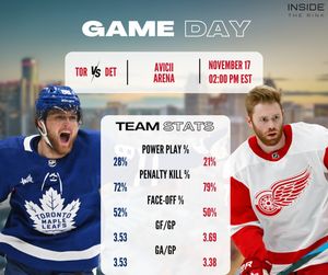 Image post by @insidetherinkcom on Instagram