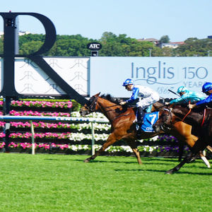 Image post by @australianturfclub on Instagram