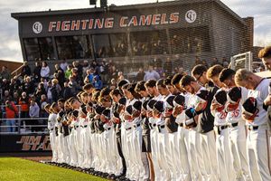Image post by @gocamelsbsb on Instagram