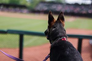 Image post by @uspbl on Instagram