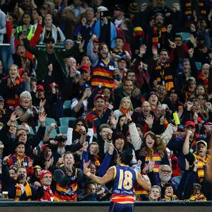 Image post by @adelaide_fc on Instagram
