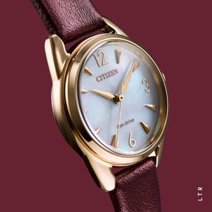 Image post by @citizenwatchus on Instagram