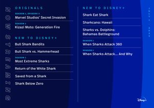 Image post by @DisneyPlus on Twitter