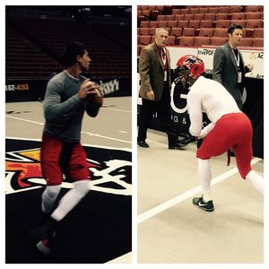 Image post by @jaxsharks on Instagram