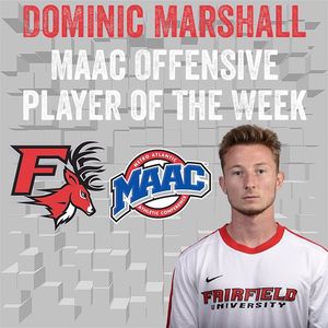 Image post by @fairfieldstags on Instagram