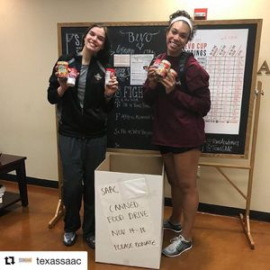 Image post by @texasvolleyball on Instagram