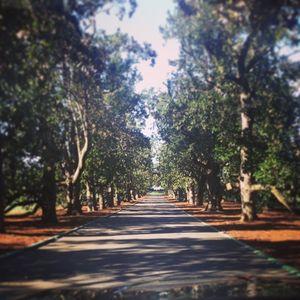 Image post by @lukedonald on Instagram