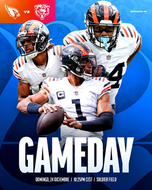 Image post by @bears_es on Instagram