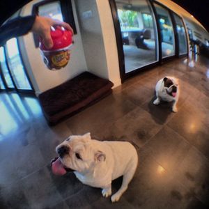 Image post by @robdyrdek on Instagram