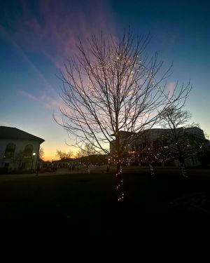 Image post by @redhawklife on Instagram