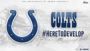 Image post by @zipsfb on Instagram