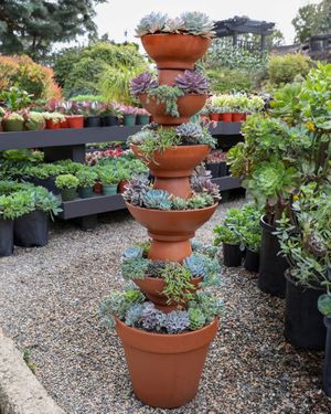 Image post by @rogersgardens on Instagram