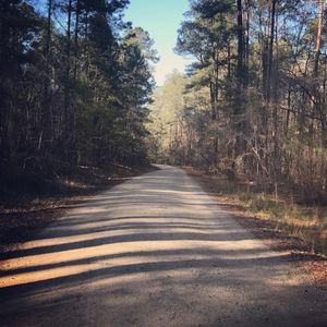 Image post by @runninglane on Instagram