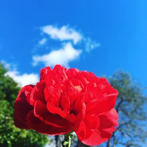 Image post by @scleggphotography on Instagram