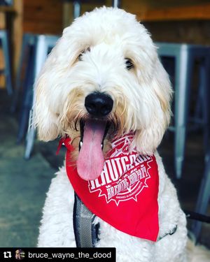 Image post by @navigationbrewingco on Instagram