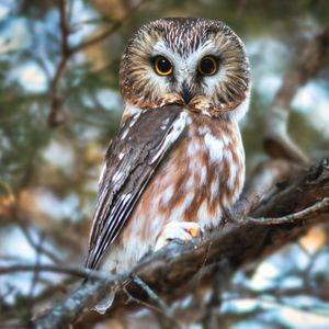 Image post by @animalplanet on Instagram