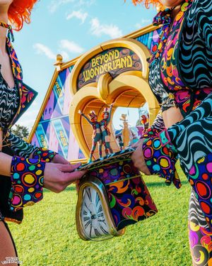 Image post by @beyondwland on Instagram