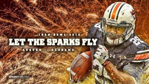 Image post by @auburntigers on Instagram
