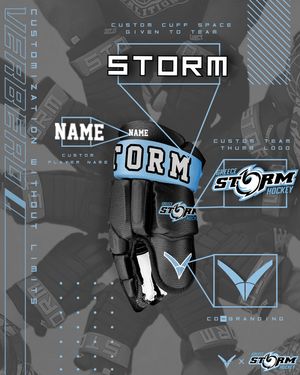 Image post by @verberohockey on Instagram
