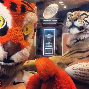 Image post by @thetiger_cu on Instagram
