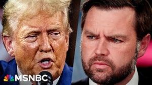 Video post by @msnbc on YouTube