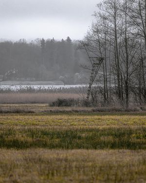 Image post by @cristan.nature.photography on Instagram