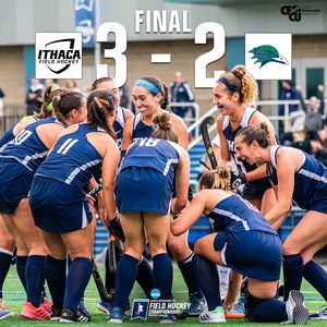 Image post by @Ithaca_FH on Twitter