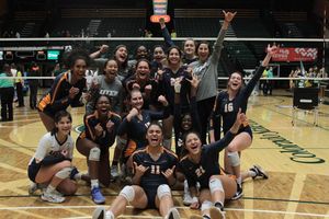 Image post by @utepvb on Instagram