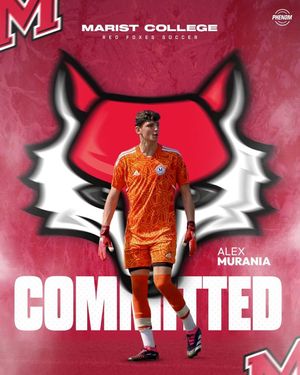 Image post by @alex.murania on Instagram