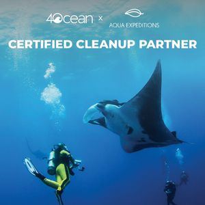 Image post by @4ocean on Instagram