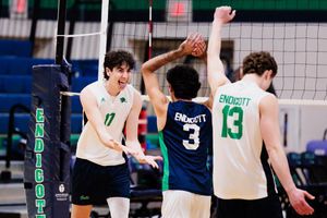 Image post by @ecgulls on Instagram