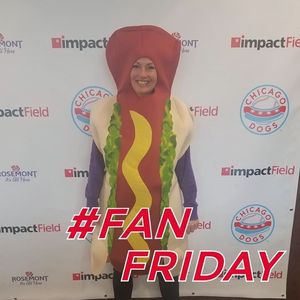 Image post by @thechicagodogs on Instagram