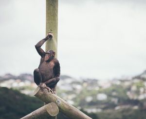 Image post by @arianneprendesfotos on Instagram