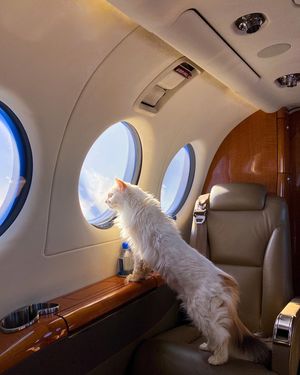 Image post by @wheelsup on Instagram