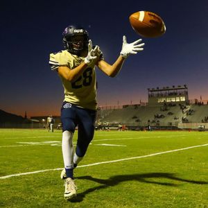 Image post by @ariannagrainey on Instagram