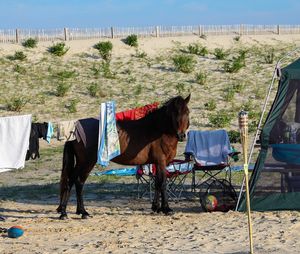 Image post by @vchauhan_ on Instagram