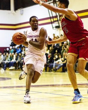 Image post by @the_stingers on Instagram