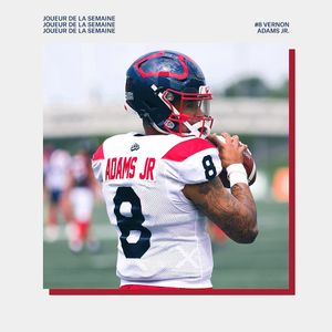 Image post by @mtlalouettes on Instagram