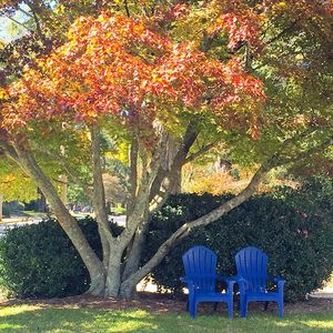Image post by @presbyteriancollege on Instagram
