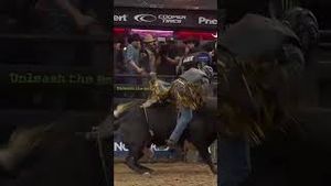 Video post by @pbr on YouTube
