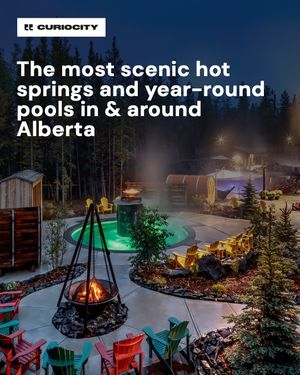 Image post by @curiocitycalgary on Instagram
