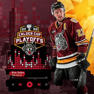 Image post by @chicagowolves on Instagram