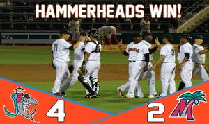 Image post by @gohammerheads on Instagram