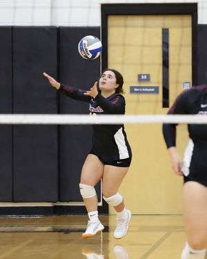 Image post by @arcadia_knights on Instagram