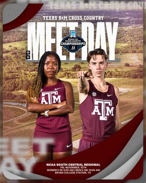 Image post by @aggietfxc on Twitter