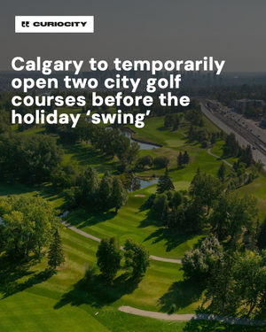 Image post by @curiocitycalgary on Instagram