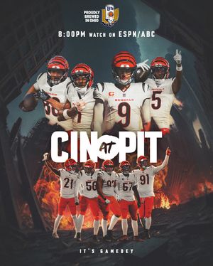 Image post by @bengals on Instagram